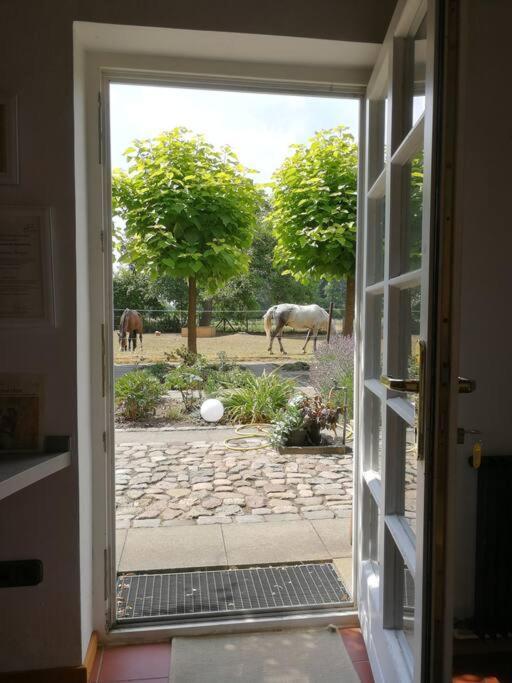 Appartement Xanadi Heilehaus Kleine Auszeit Kururlaub à Bruchhausen-Vilsen Extérieur photo